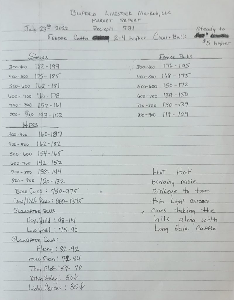 July 23, 2022 Buffalo Livestock Market