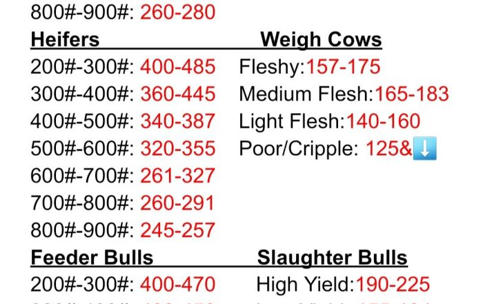 Market Report from June 21 2025