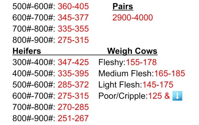 Buffalo Livestock Report from July 12, 2025