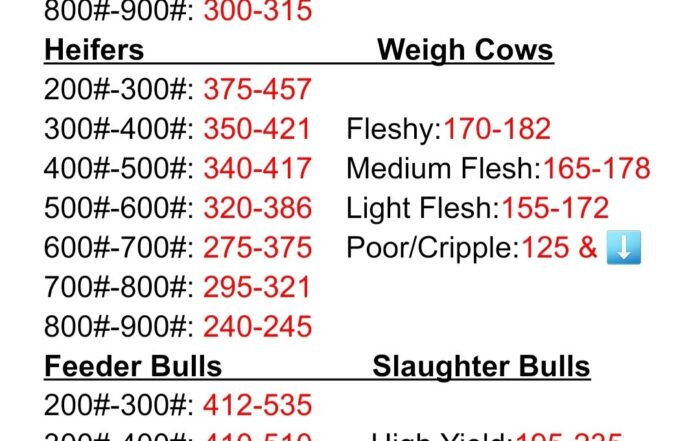 Market Report for August 02 2025
